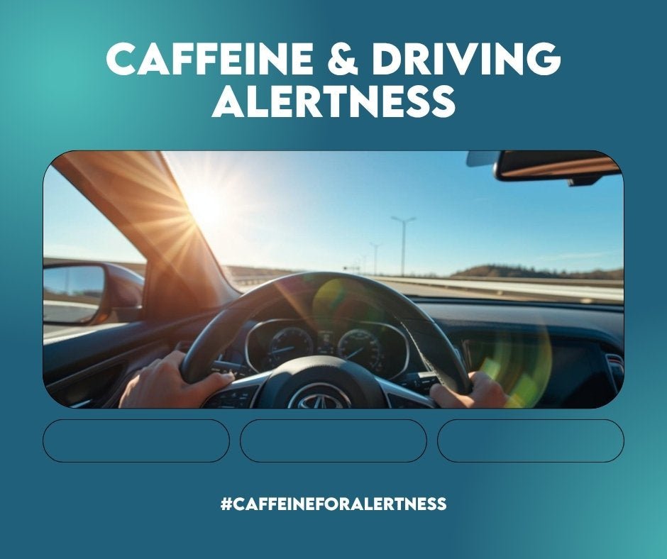 How to Stay Alert While Driving: Caffeine, Safety Limits, and What Actually Works - Cream.energy
