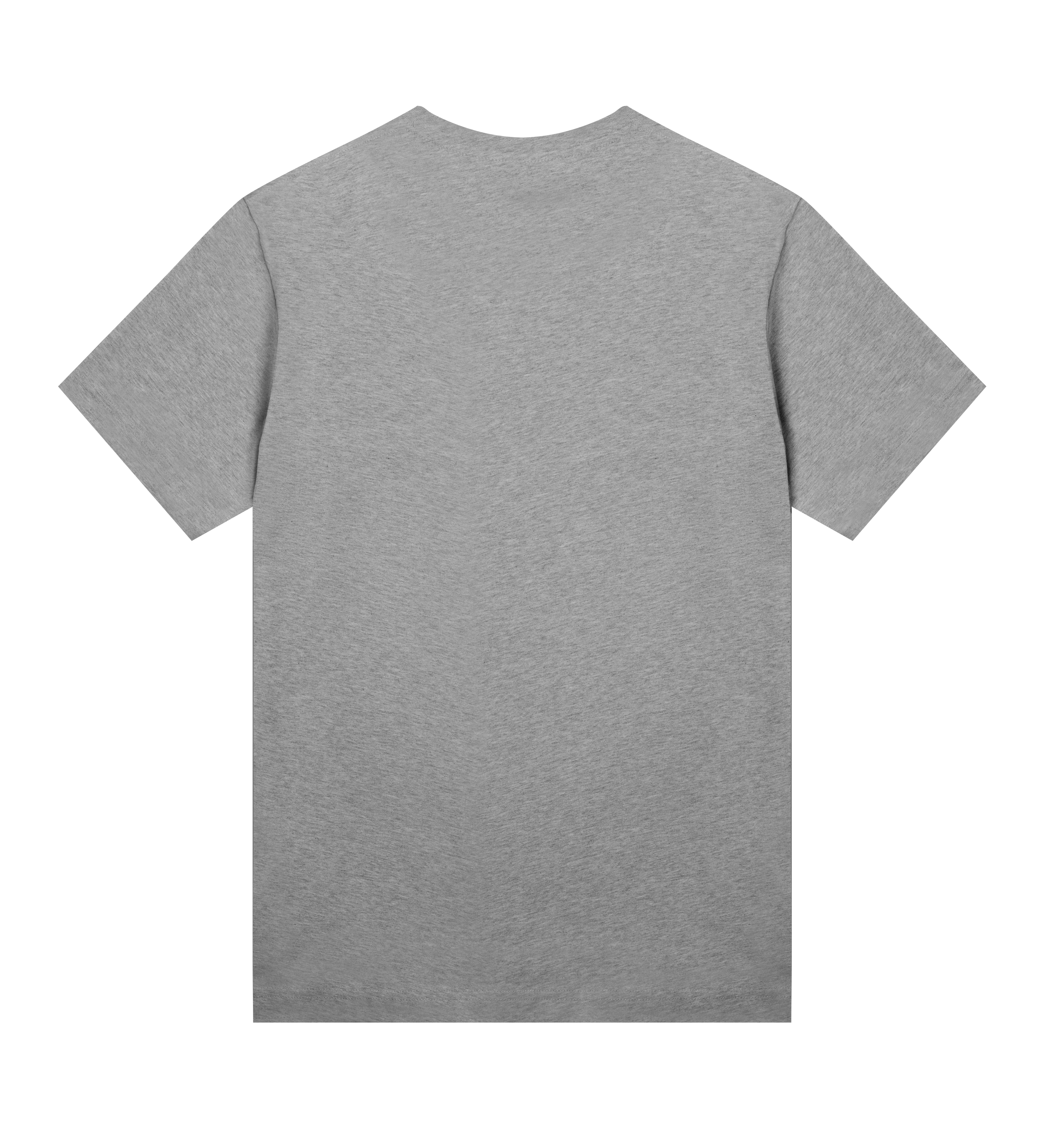 tshirt-grey-back.png